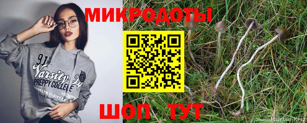 Псилоцибиновые грибы Cubensis Кинель