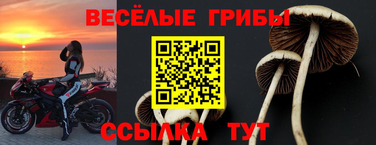 Кинель  Галлюциногенные грибы GOLDEN TEACHER  Вход с VPN 